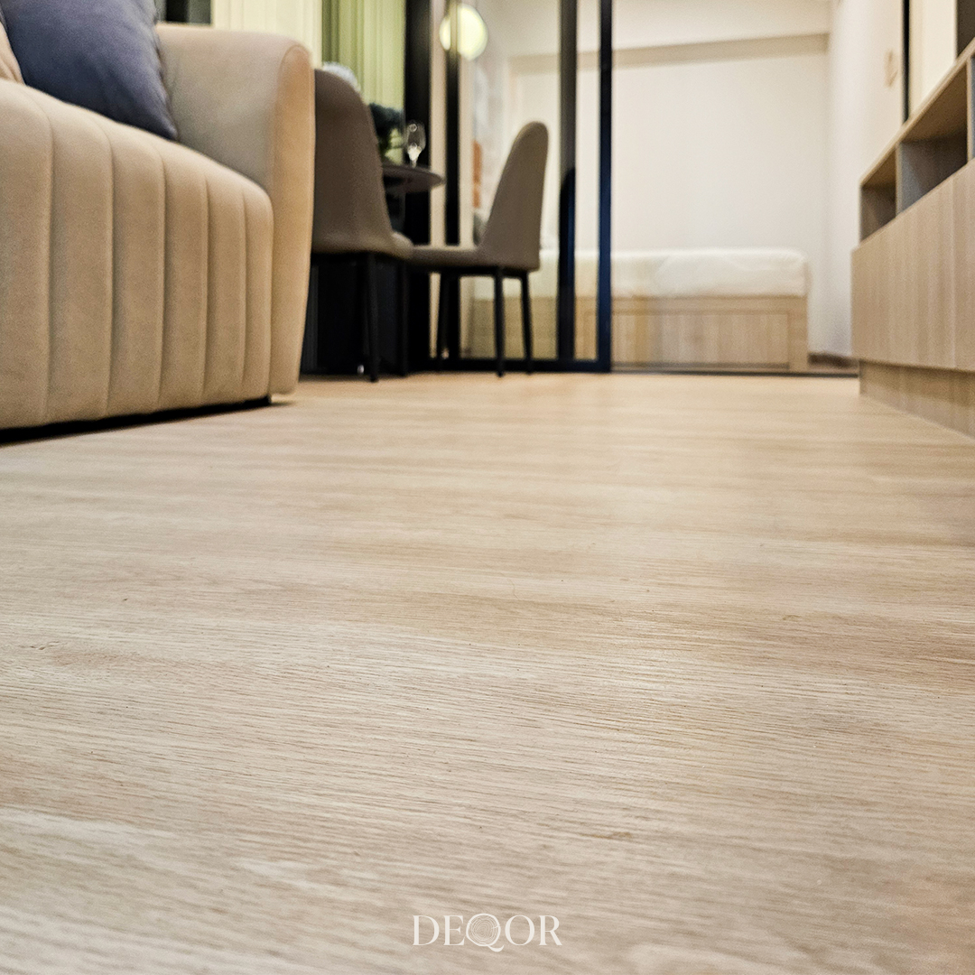 480746307_122140441274515049_8793245292190314504_n